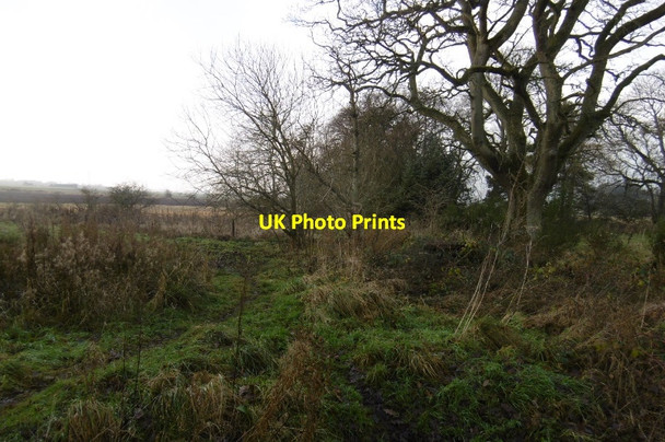Photo 6"x4" The Old Gallows Road Tibbermore c2016