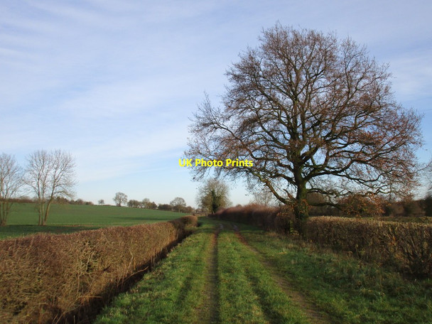 Photo 6"x4" Hopyard Lane Egmanton c2016