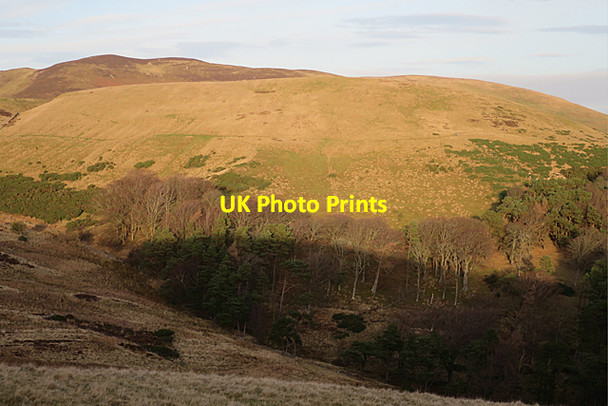 Photo 6"x4" Woodhouselee Hill Woodhouselee c2016