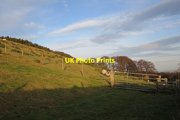 Photo 6"x4" Field Gate Woodhouselee c2016