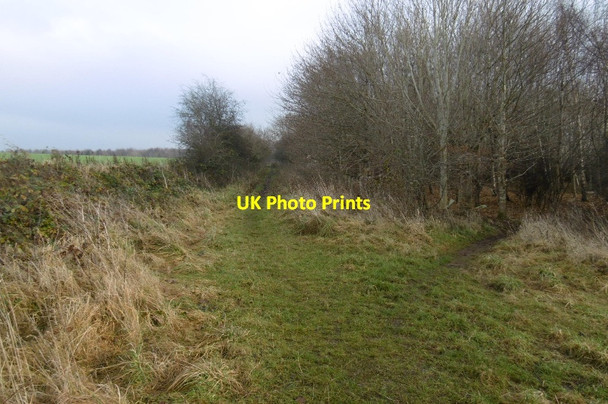 Photo 6"x4" Old Gallows Road Huntingtower c2016