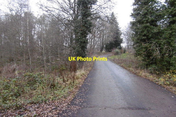 Photo 6"x4" Drive to Methven Castle Methven c2016
