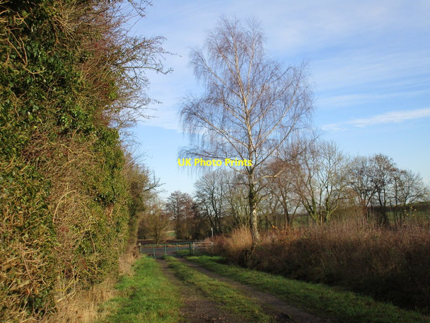 Photo 6"x4" Hopyard Lane Tuxford c2016