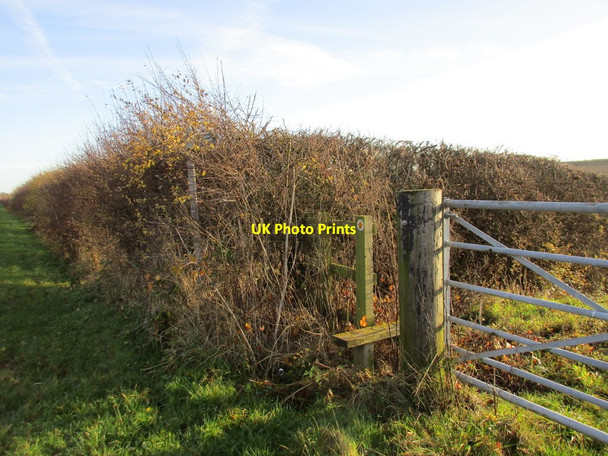 Photo 6"x4" Hidden footpath sign Egmanton c2016