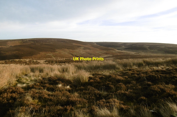 Photo 6"x4" Moorland, Lammermuir Hills Garvald\/NT5870 c2016
