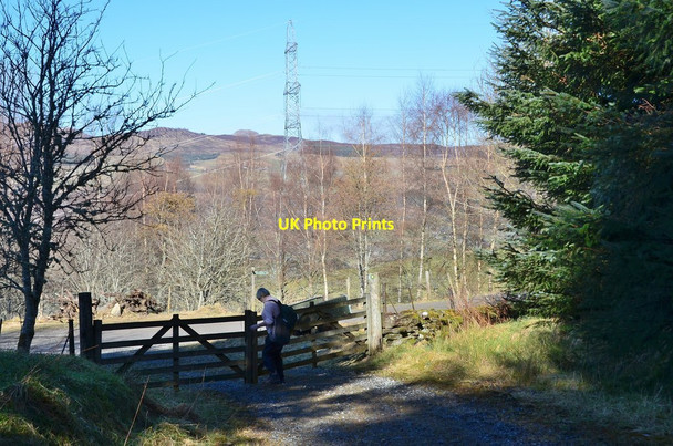 Photo 6"x4" Gate near Tullichuil Dull c2016