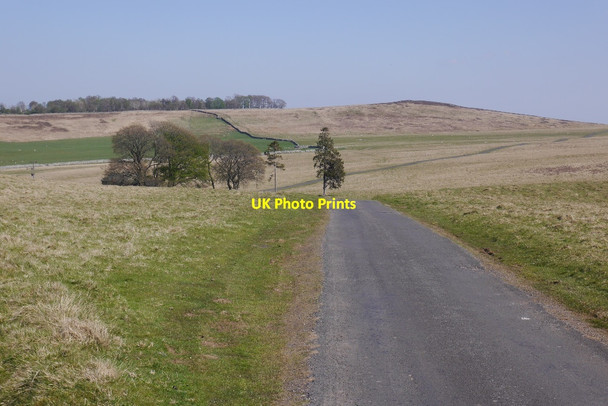 Photo 6"x4" Yellow road, Gaythorne Plain Crosby Ravensworth c2016