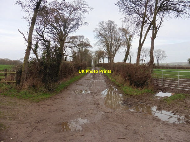 Photo 6"x4" Wall Ditch Lane Chiselborough c2016