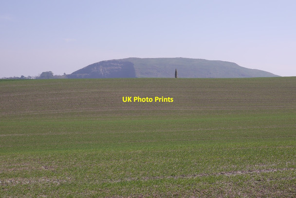 Photo 6"x4" Standing stone, Pencraig Brae East Linton c2016