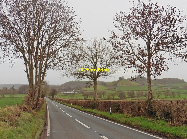 Photo 6"x4" A356 near West Chinnock Chiselborough c2016