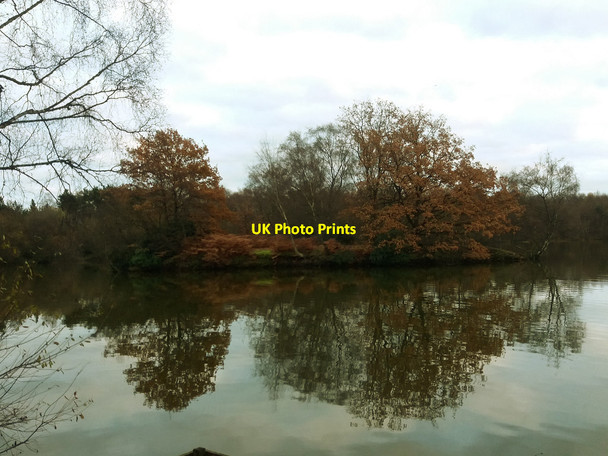 Photo 6"x4" Island in Shakerley Mere Allostock c2016