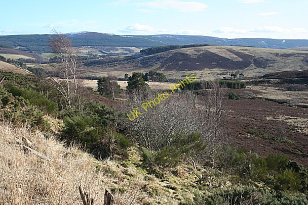 Photo 6"x4" Near Corsemaul Croft Haugh of Glass c2009