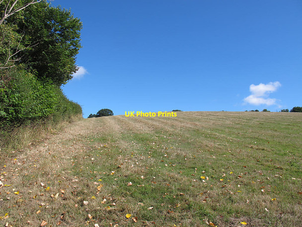 Photo 6"x4" Steep hillside outside Dunsford Dunsford\/SX8189 c2016