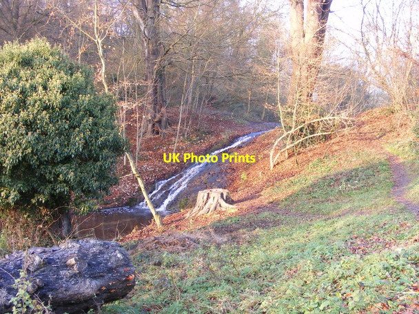Photo 6"x4" Park Waterfall Himley c2016