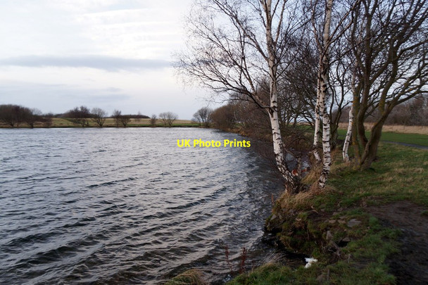 Photo 6"x4" Lake on Levenhall Links Musselburgh c2016