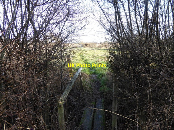 Photo 6"x4" Path between footbridge and farm road Twineham c2016