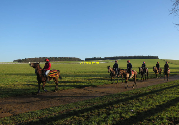 Photo 6"x4" Horse riders on Warren Hill Newmarket\/TL6463 c2016