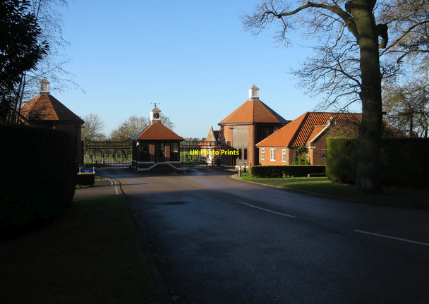 Photo 6"x4" Darley, Dalham Hall Stud Newmarket\/TL6463 c2016