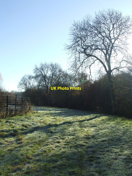 Photo 6"x4" Frosty Day Little Henham c2016