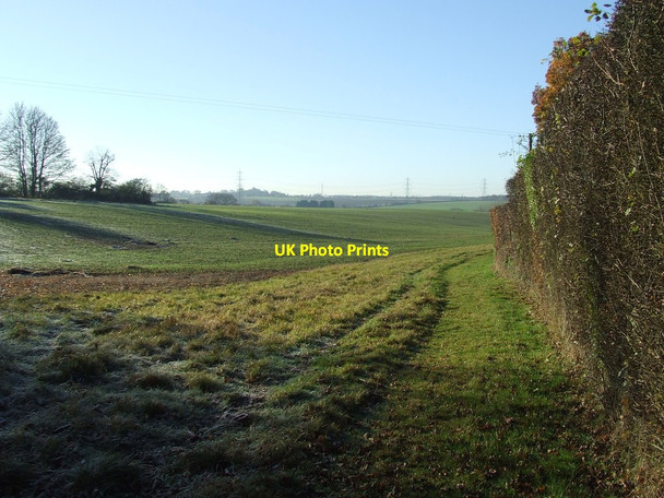 Photo 6"x4" Looking West Little Henham c2016