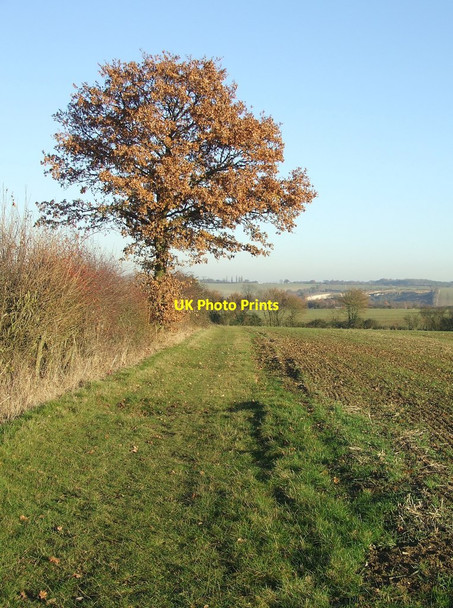 Photo 6"x4" To Newport Newport\/TL5233 c2016