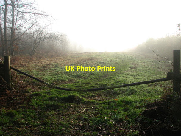 Photo 6"x4" Footpath turning off Green Lane Horsford c2016