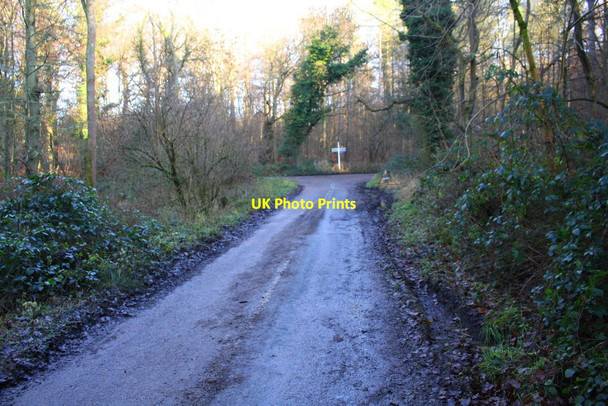 Photo 6"x4" T-junction of minor roads approaching Three Corner Common Checkendon c2016