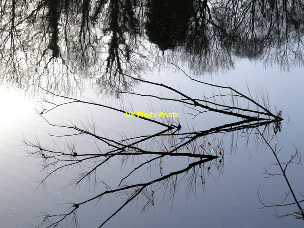 Photo 6"x4" River Tyne reflections Ryton\/NZ1564 c2016