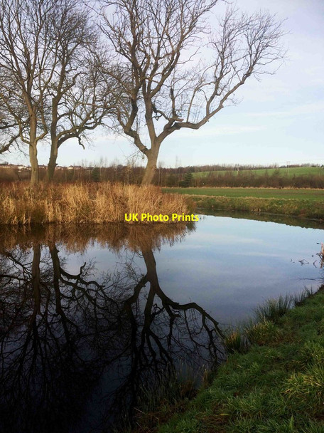 Photo 6"x4" Ox bow lake formed from former course of the River Dearne Millhouses\/SE4204 c2016