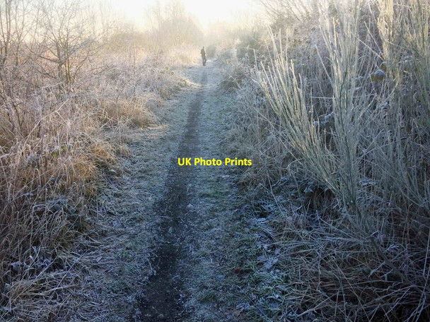 Photo 6"x4" A frosty Warbler Way Wath Upon Dearne c2016