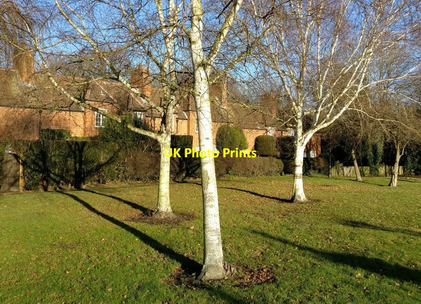 Photo 6"x4" Trees at Cressida Place in Braunstone Braunstone c2016