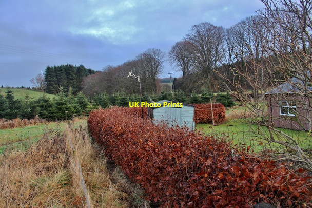Photo 6"x4" Lodge at Balfour Kirkton of Menmuir c2016