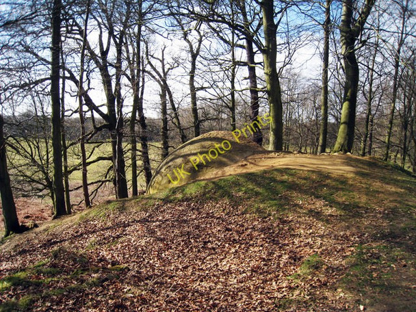 Photo 6"x4" Ice House at Knole Park Sevenoaks c2009
