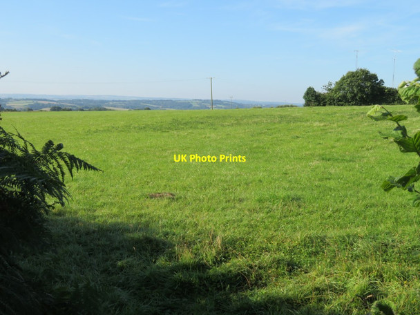 Photo 6"x4" Where the footpath goes North Town\/SS5109 c2016
