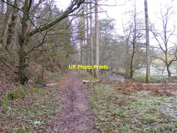 Photo 6"x4" Riverside Path  Burcote c2016