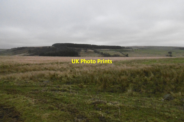 Photo 6"x4" Moorland, Redesdale Redesdale Camp c2016