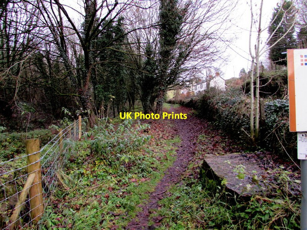 Photo 6"x4" Path past the edge of a quarry, Drybrook Drybrook c2016