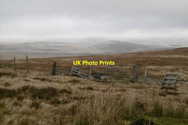 Photo 6"x4" North of the Kyloe Road Hindsike Hill c2016