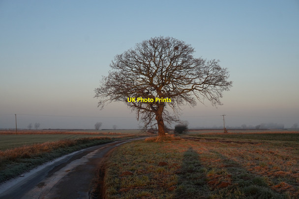 Photo 6"x4" Sand Lane towards Garman Carr Lane Selby c2016