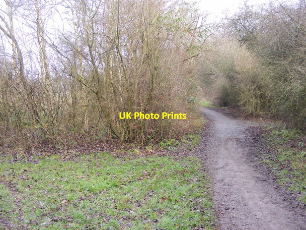 Photo 6"x4" Fens Pool Path Brierley Hill\/SO9286 c2016