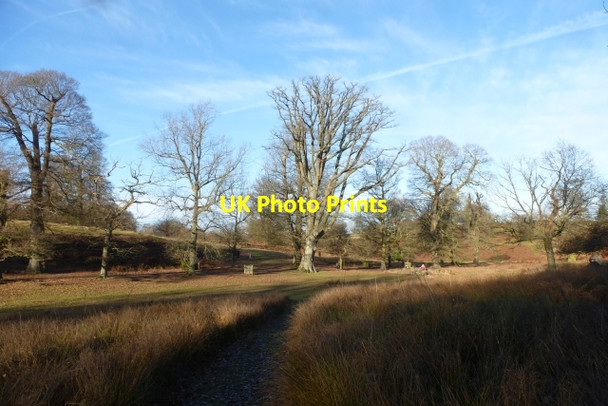 Photo 6"x4" Duchess Walk Sevenoaks c2016
