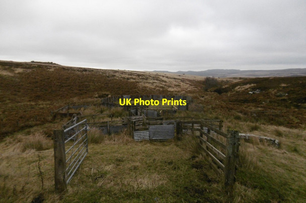 Photo 6"x4" Sheepfold, Wilkwood Burn Bluestone Edge c2016
