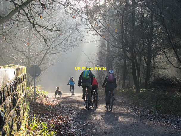 Photo 6"x4" Cycling family, with dog Hatchmere c2016