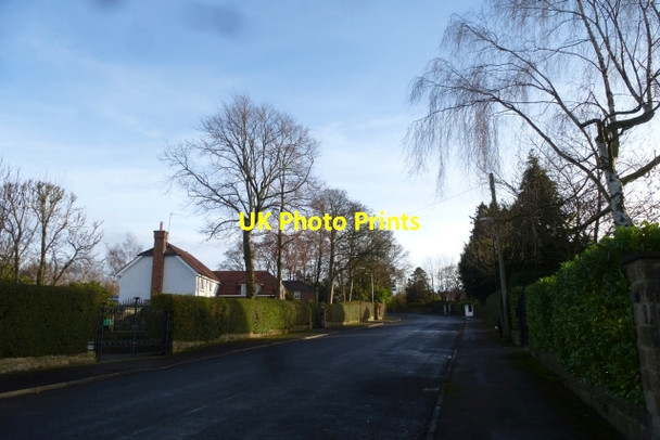 Photo 6"x4" Rutland Drive Harrogate c2016