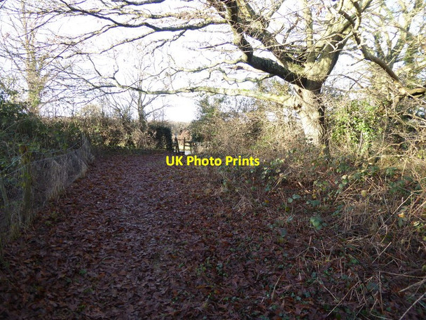 Photo 6"x4" Footpath reaches the B2118 Albourne c2017