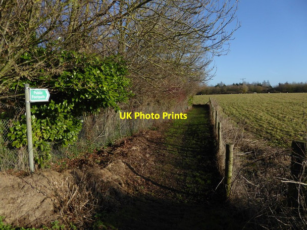 Photo 6"x4" Footpath from the B2118 going eastwards Albourne c2017
