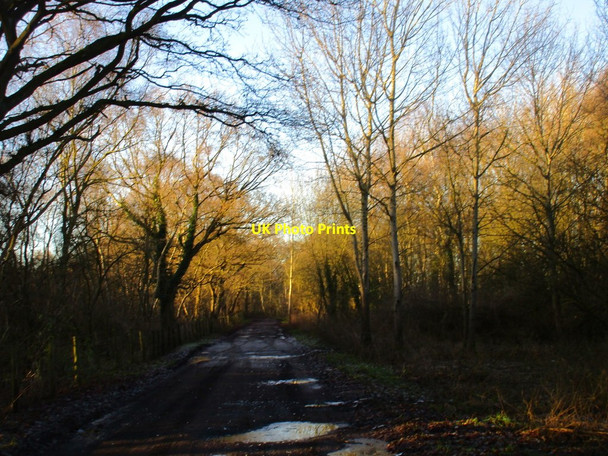 Photo 6"x4" Turbary Road Haxey Carr c2017
