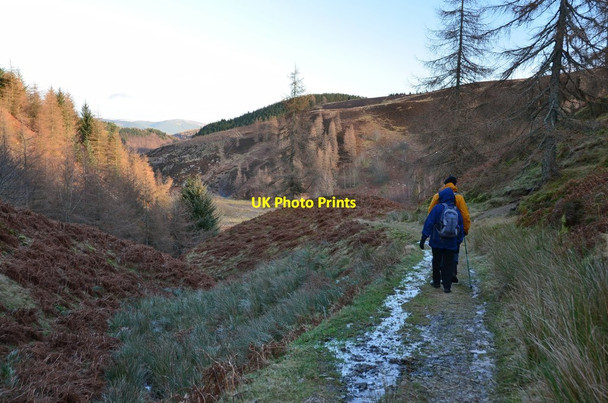Photo 6"x4" Track to Loch Eddy Glenshiel Banks c2017