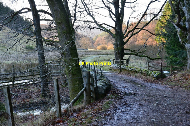 Photo 6"x4" Bridge over the Quair Water, The Glen Blairy Wood c2017