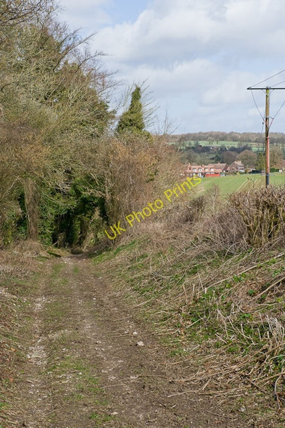 Photo 6"x4" Bridleway descending into Bramdean Bramdean c2009
